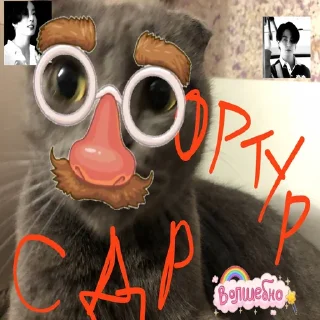 🎉 emoji гучі генг Telegram sticker 6 of 33