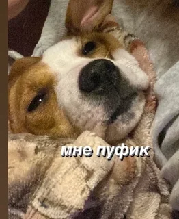 Sticker from джесси на каждый день
