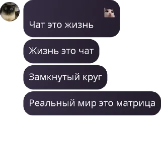 🧴 emoji Фразочки Telegram sticker 15 of 40