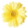 🤩 emoji Желтые эмоджи  
tg: @IconIllusions Telegram sticker 5 of 150
