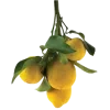 🤩 emoji Желтые эмоджи  
tg: @IconIllusions Telegram sticker 13 of 150