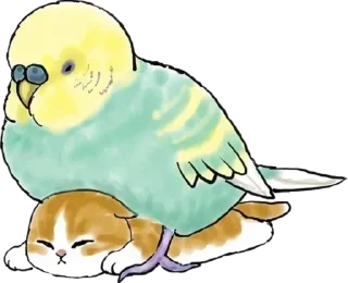 🦜 emoji Больше стиков тут: @stikery4 Telegram sticker 19 of 120
