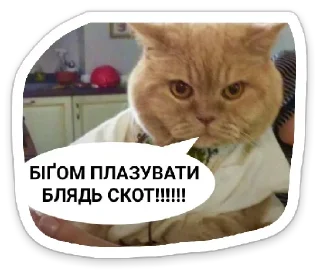 😈 emoji УКРАЇНОФІЛІЯ АБО СМЕРТЬ! Telegram sticker 6 of 120