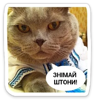 Sticker from УКРАЇНОФІЛІЯ АБО СМЕРТЬ!