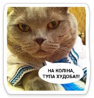 Sticker from УКРАЇНОФІЛІЯ АБО СМЕРТЬ!