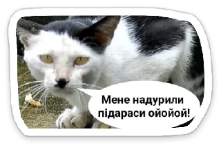 😖 emoji УКРАЇНОФІЛІЯ АБО СМЕРТЬ! Telegram sticker 9 of 120