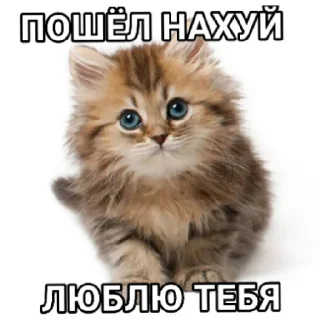 😇 emoji резня изнасилование похороны Telegram sticker 7 of 8