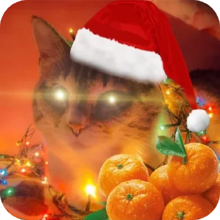 Sticker from Просто ржачные коты