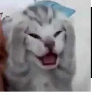 🙂 emoji this is SOO me Telegram sticker 8 of 45