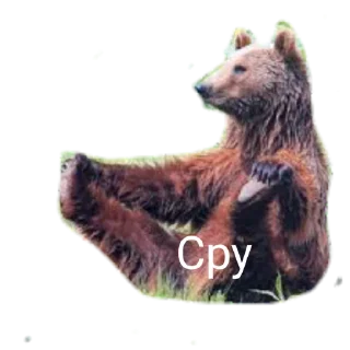 Sticker from Медведи