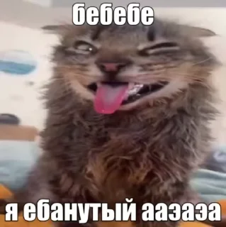 🤪 emoji Stik zhanelikkk_ Telegram sticker 15 of 77