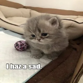 😔 emoji Больше стиков тут: @stikery4 Telegram sticker 24 of 108