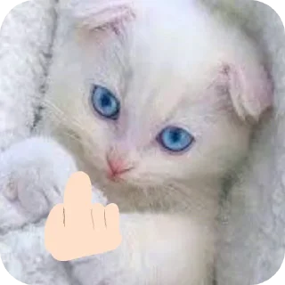 🐱 emoji Стив @kanal_stivena Telegram sticker 16 of 20