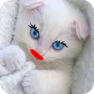 🐱 emoji Стив @kanal_stivena Telegram sticker 8 of 20