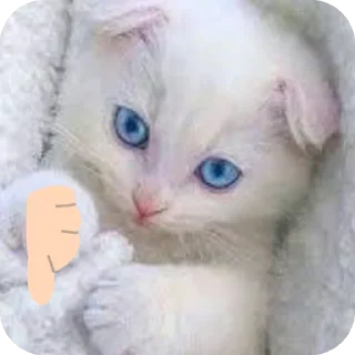 🐱 emoji Стив @kanal_stivena Telegram sticker 7 of 20