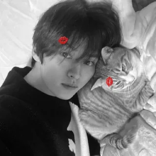 🐾 emoji ho @hyunjinoke Telegram sticker 22 of 26
