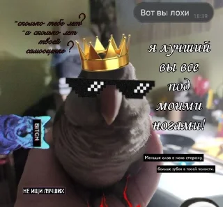 Sticker from Церковь благословенной Сахароз