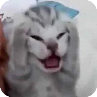 👄 emoji атлант Telegram sticker 6 of 34