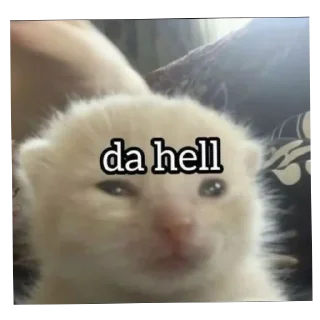 🐱 emoji атлант Telegram sticker 14 of 34