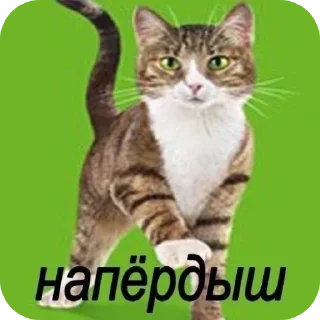 🥰 emoji Mem>pak/sticker + автор @Ghos2028tretie Telegram sticker 8 of 89
