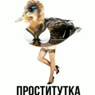 🐦 emoji Mem>pak/sticker + автор @Ghos2028tretie Telegram sticker 22 of 89