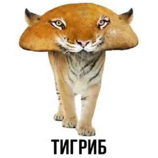 🐱 emoji Mem>pak/sticker + автор @Ghos2028tretie Telegram sticker 14 of 89