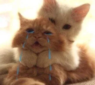 🌟 emoji Тгк:Касперин811 Telegram sticker 23 of 120
