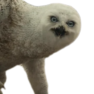 😡 emoji Больше стикеров: @sticerru Telegram sticker 8 of 13