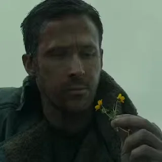 🌻 emoji Blade Runner 2049 @freetopsticker Telegram sticker 14 of 66