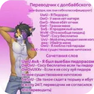 Sticker from Фурри и квд хуета