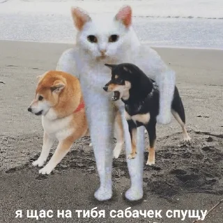 😸 emoji Хындыр мындыр — @stckrRobot Telegram sticker 3 of 120