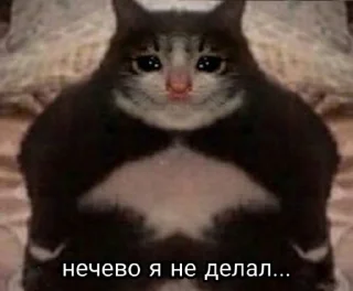 😢 emoji мои ебаные стикеры Telegram sticker 14 of 120