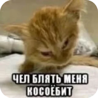 Sticker from Олегов Щитпост [@WeberOleg]