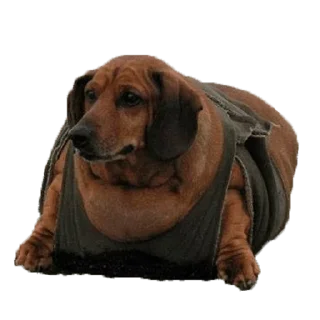 😢 emoji Больше стиков тут: @stikery4 Telegram sticker 1 of 27