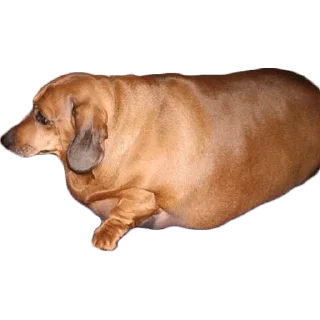 😢 emoji Больше стиков тут: @stikery4 Telegram sticker 9 of 27