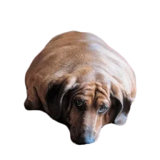 😢 emoji Больше стиков тут: @stikery4 Telegram sticker 5 of 27