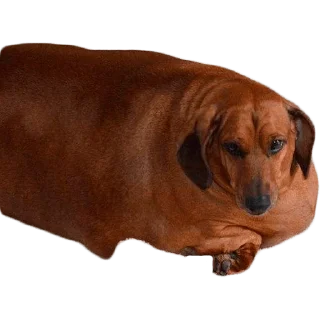😢 emoji Больше стиков тут: @stikery4 Telegram sticker 17 of 27