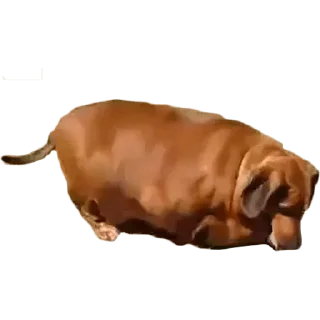 😢 emoji Больше стиков тут: @stikery4 Telegram sticker 24 of 27