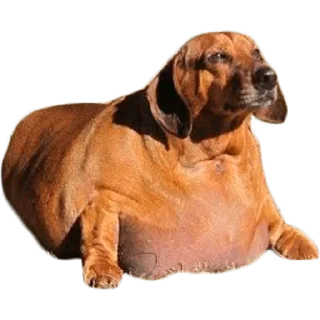 😢 emoji Больше стиков тут: @stikery4 Telegram sticker 11 of 27