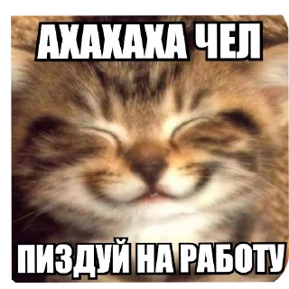 🐱 emoji Росгвардия Telegram sticker 17 of 68