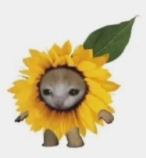 🤓 emoji пупупу Telegram sticker 4 of 106
