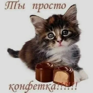 Sticker from анонимно пж