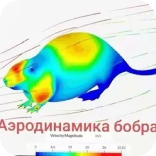 🦫 emoji Квасовита Telegram sticker 24 of 41
