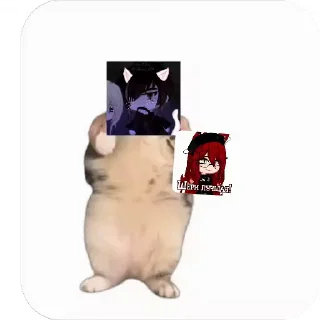 💃 emoji Куропаточка для Шери, и котики для шери Telegram sticker 8 of 25