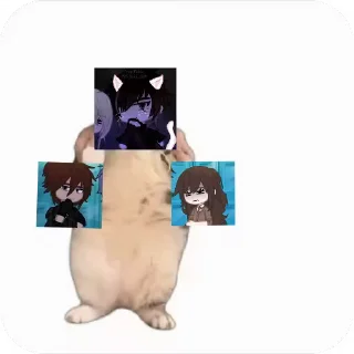 💃 emoji Куропаточка для Шери, и котики для шери Telegram sticker 10 of 25