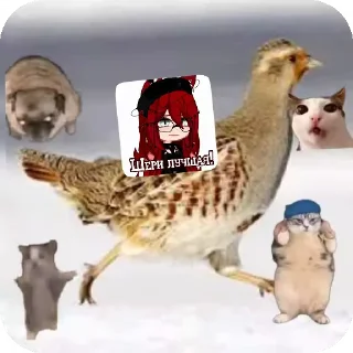 Sticker from Куропаточка для Шери, и котики для шери