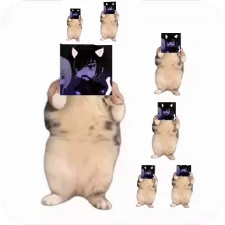 💃 emoji Куропаточка для Шери, и котики для шери Telegram sticker 20 of 25