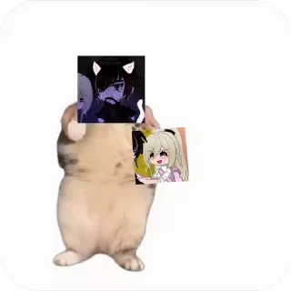 💃 emoji Куропаточка для Шери, и котики для шери Telegram sticker 9 of 25