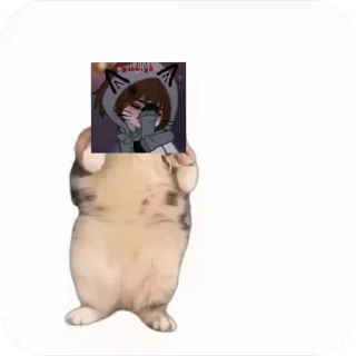 💃 emoji Куропаточка для Шери, и котики для шери Telegram sticker 16 of 25
