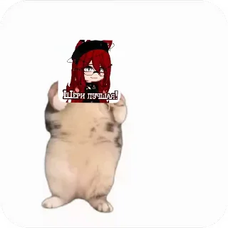 💃 emoji Куропаточка для Шери, и котики для шери Telegram sticker 23 of 25